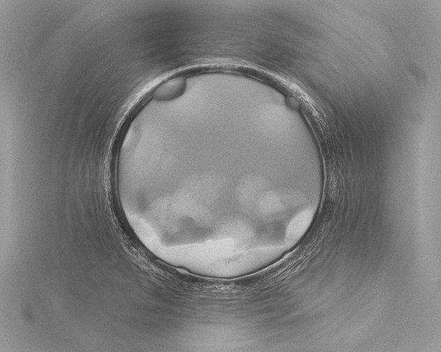 X0000115331279200911301520