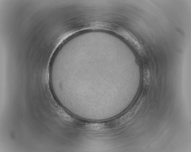 X0000115331280200911301520