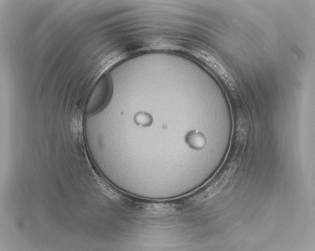 X0000115331281200911301520