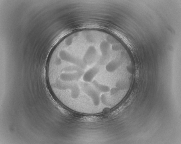 X0000115331282200911301520