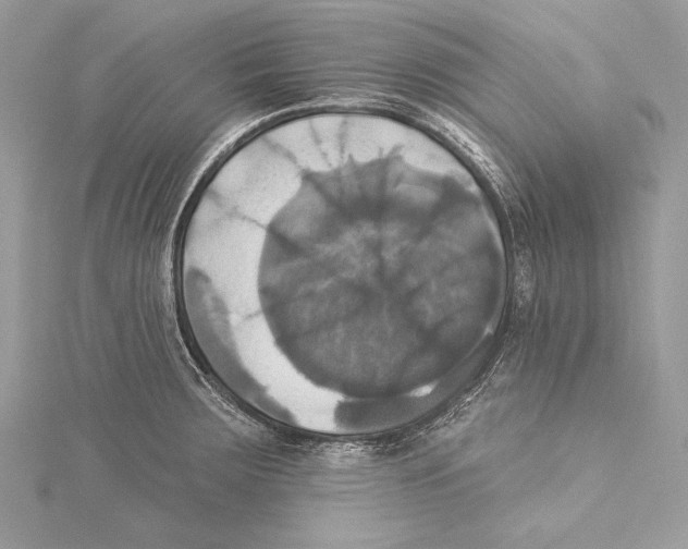 X0000115331283200911301520