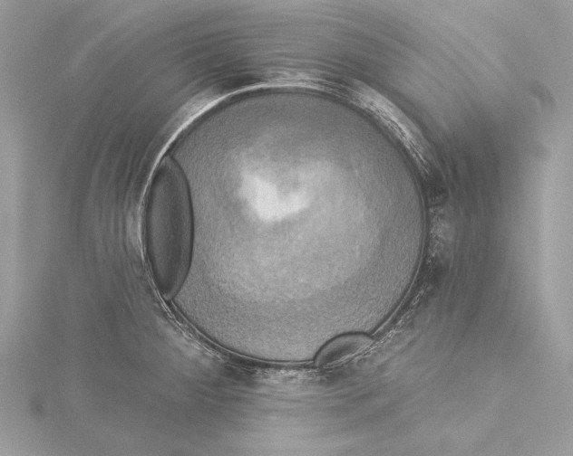 X0000115331284200911301520