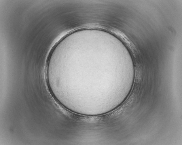 X0000115331286200911301520