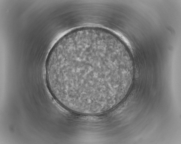 X0000115331287200911301520