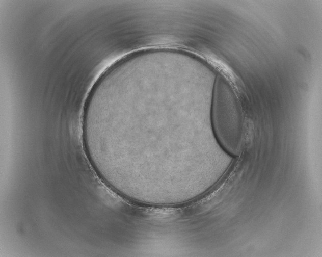 X0000115331288200911301520