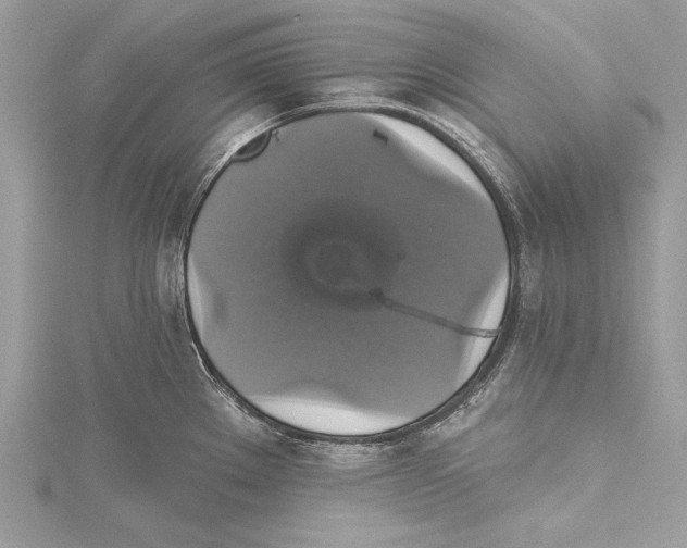 X0000115331289200911301520