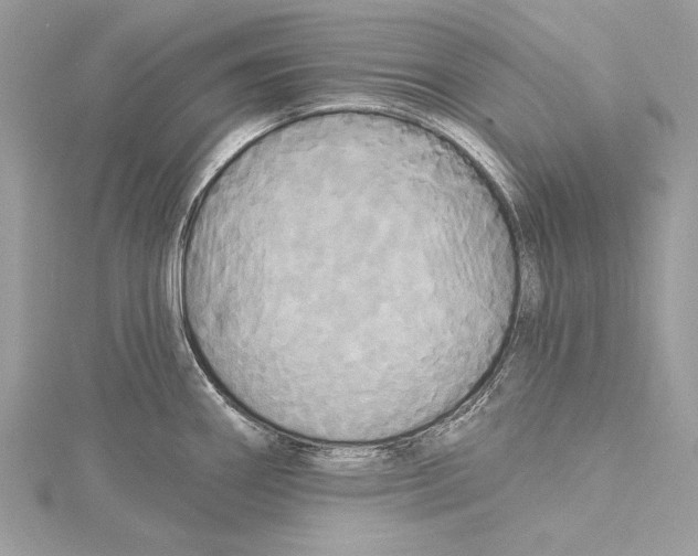 X0000115331290200911301520