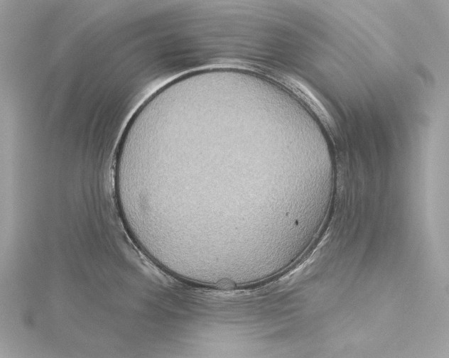 X0000115331292200911301520