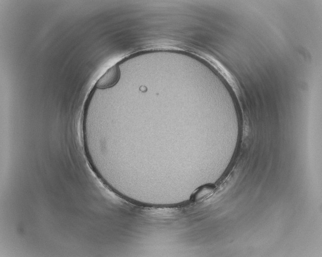 X0000115331293200911301520