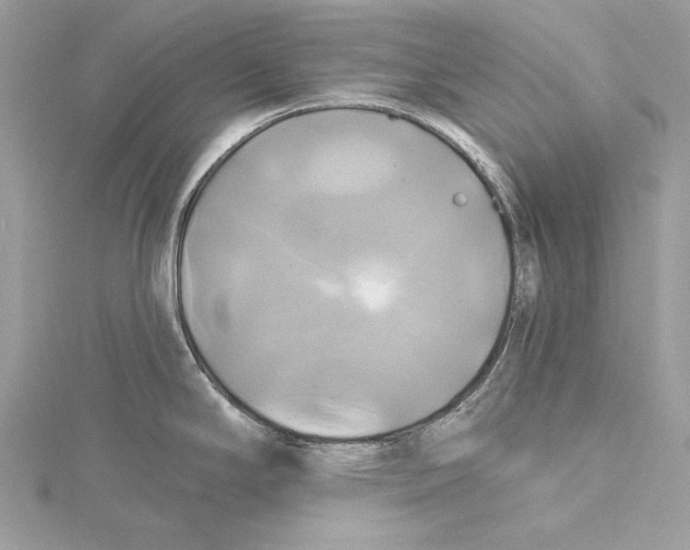 X0000115331294200911301520