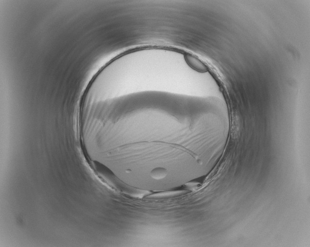 X0000115331295200911301520