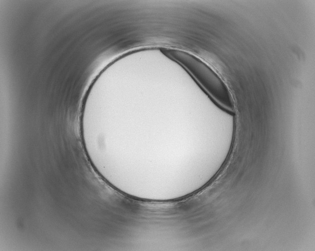 X0000115331296200911301520