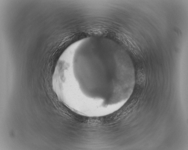 X0000115331297200911301519