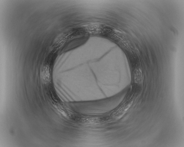 X0000115331298200911301519