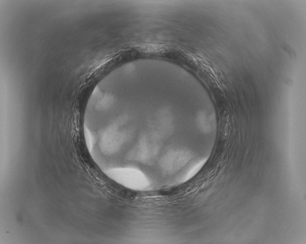 X0000115331301200911301519