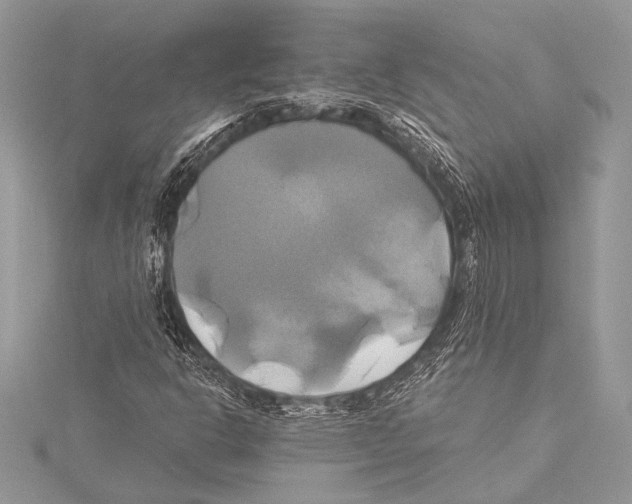 X0000115331302200911301519