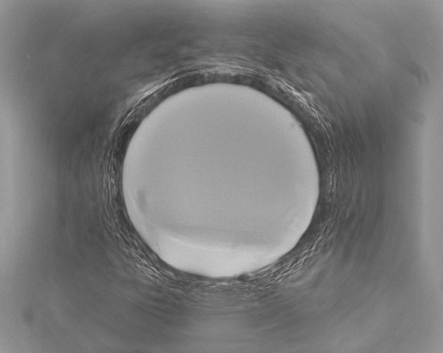 X0000115331303200911301519