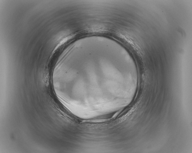 X0000115331306200911301519