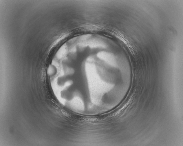 X0000115331309200911301519