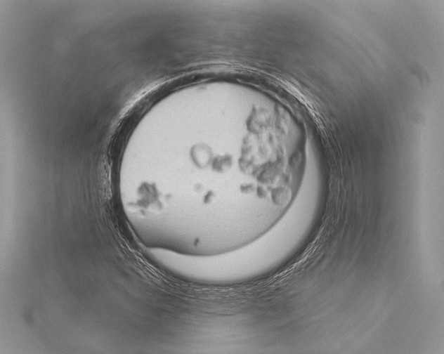 X0000115331310200911301519