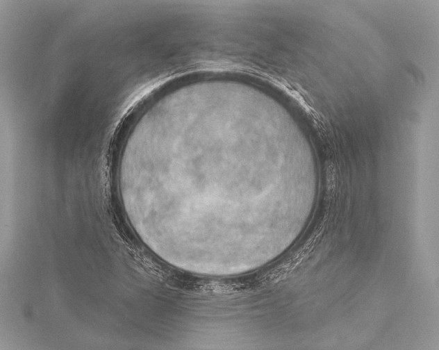 X0000115331311200911301519