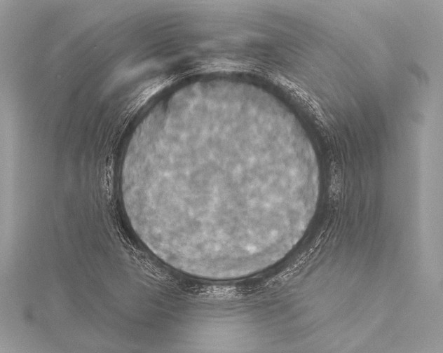 X0000115331313200911301519