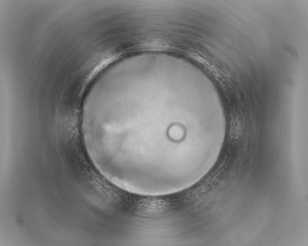 X0000115331314200911301519