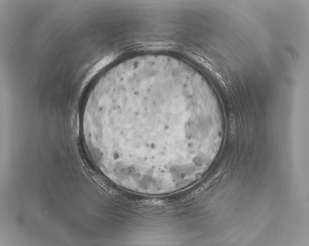 X0000115331317200911301519