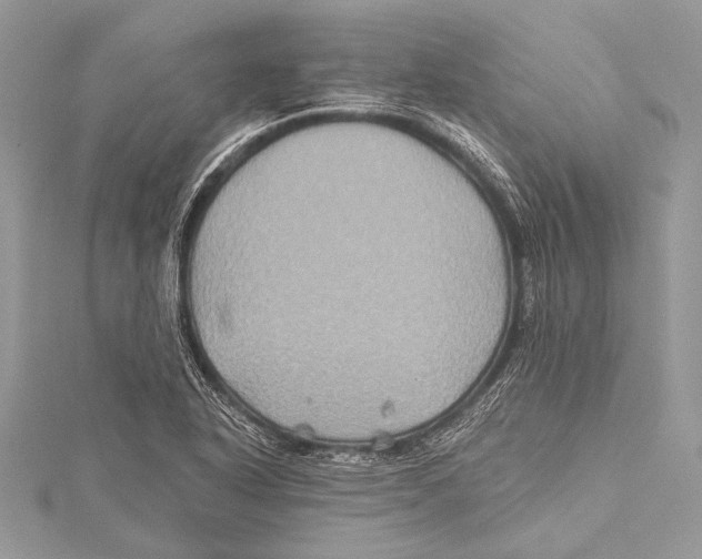 X0000115331318200911301519