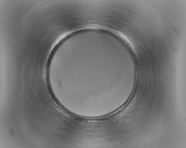 X0000115331326200911301520