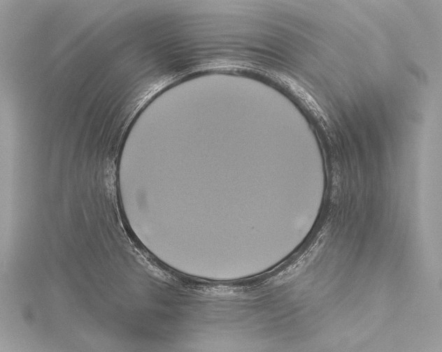 X0000115331329200911301520