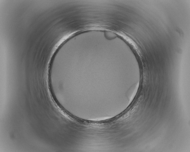 X0000115331333200911301520