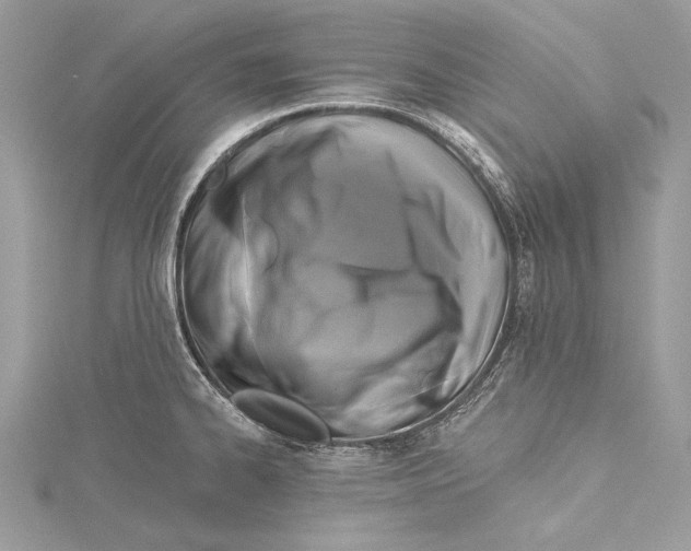 X0000115331334200911301520