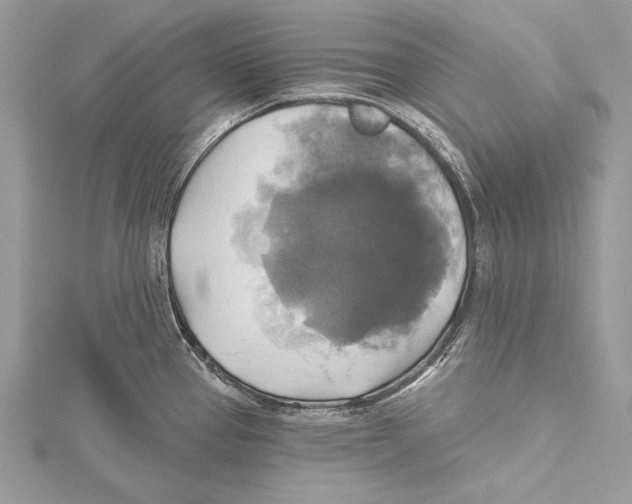 X0000115331337200911301520