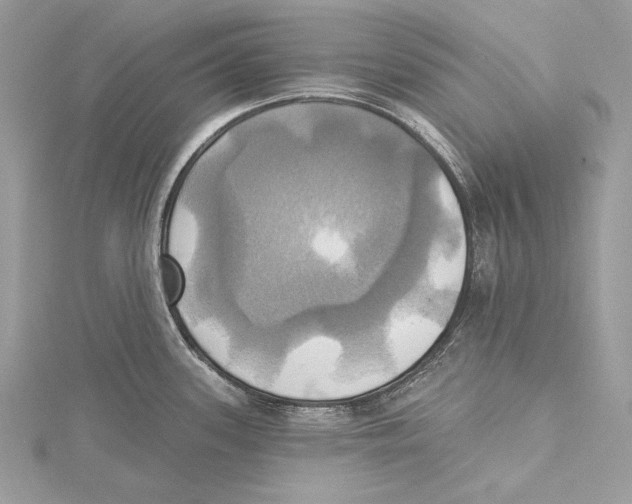 X0000115331339200911301520