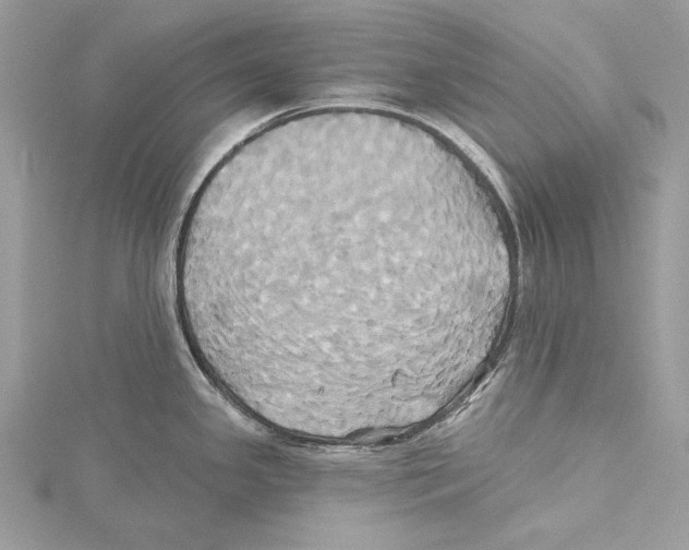 X0000115331341200911301520