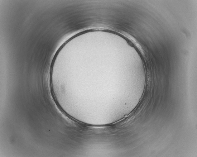 X0000115331343200911301520