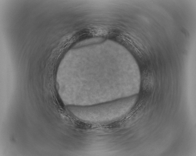 X0000115331345200911301519