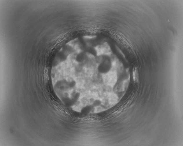 X0000115331347200911301519