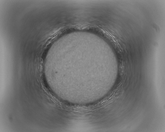 X0000115331349200911301519