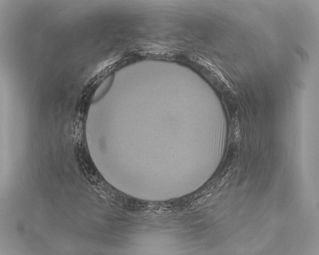 X0000115331350200911301519