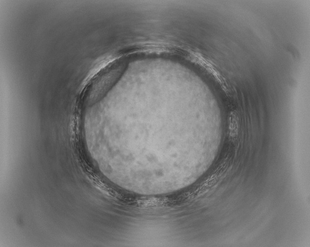 X0000115331352200911301519