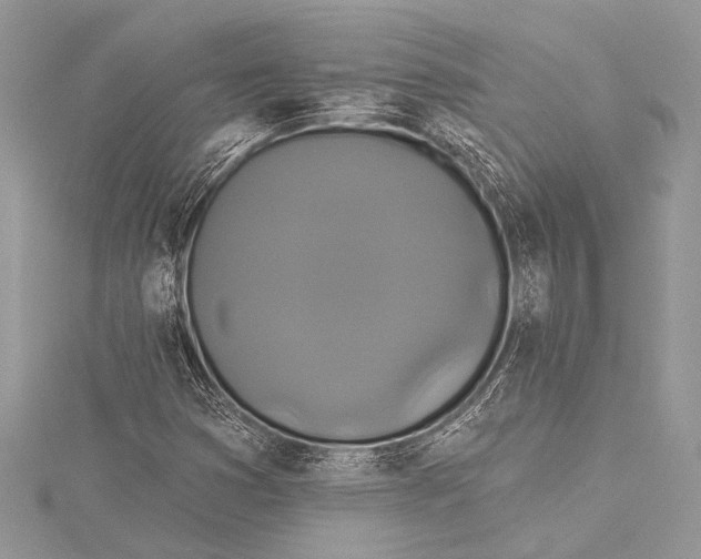 X0000115331353200911301519