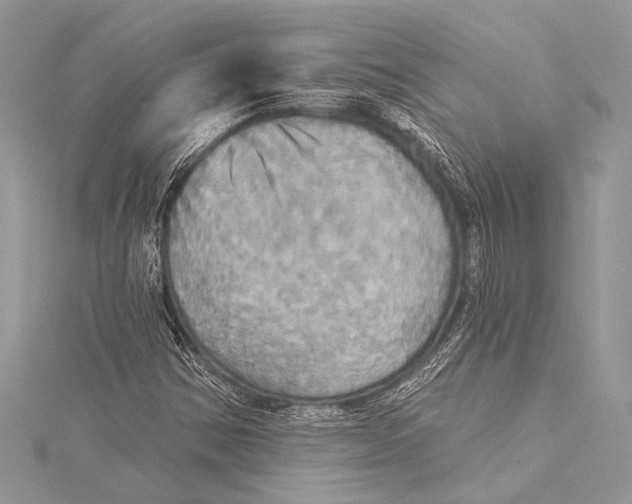 X0000115331354200911301519