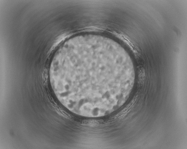 X0000115331355200911301519