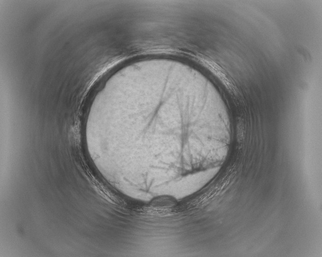 X0000115331356200911301519