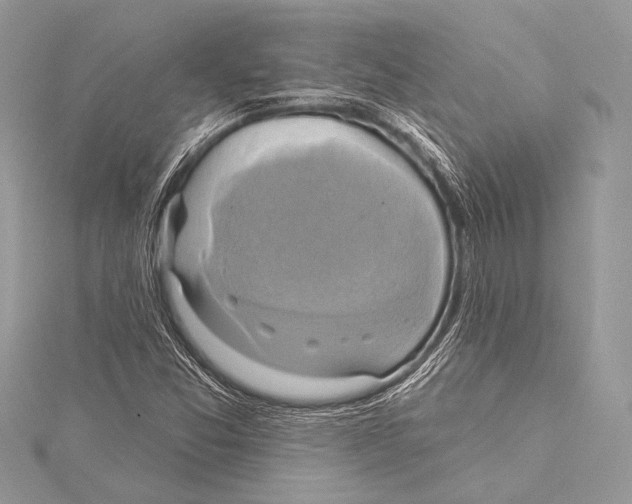 X0000115331357200911301519