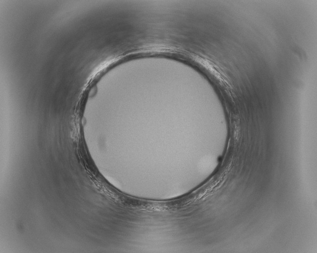 X0000115331358200911301519