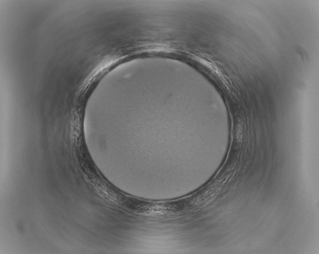 X0000115331359200911301519