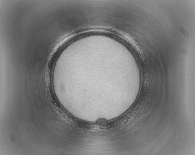 X0000115331360200911301519